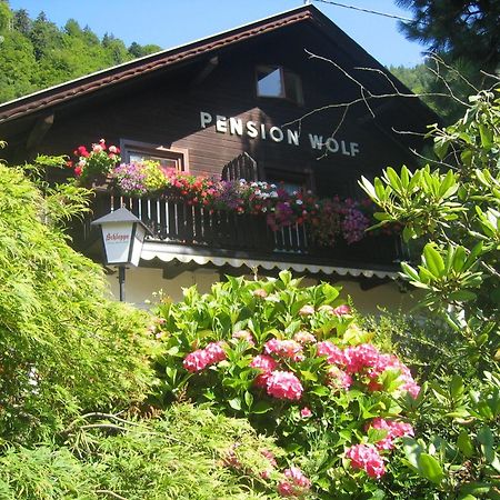 Pension Wolf Steindorf am Ossiacher See Zewnętrze zdjęcie